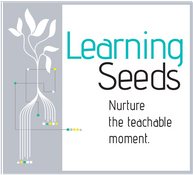 Learning Seeds Sparks Play Updates