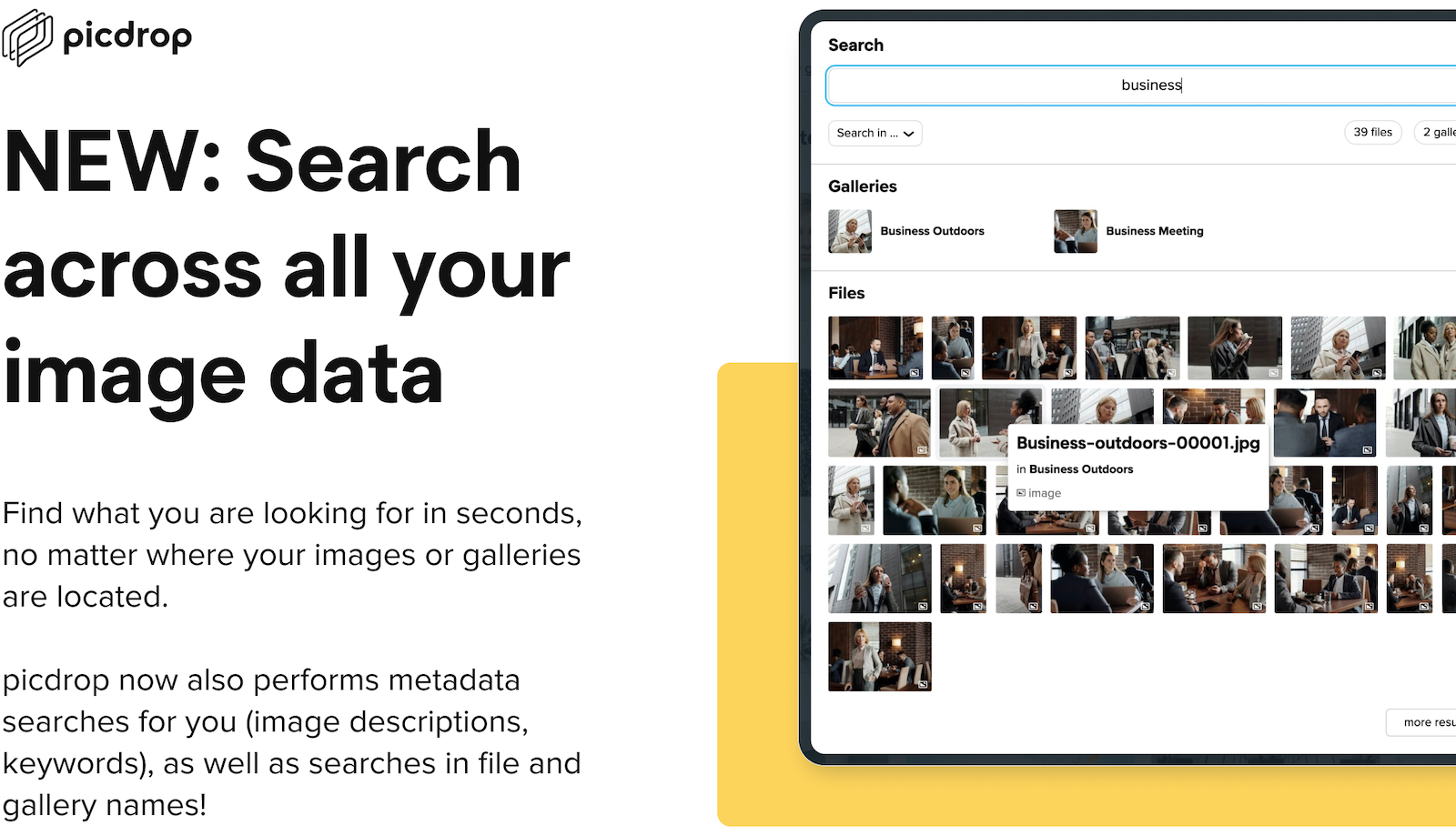 NEW: Search across all your image data