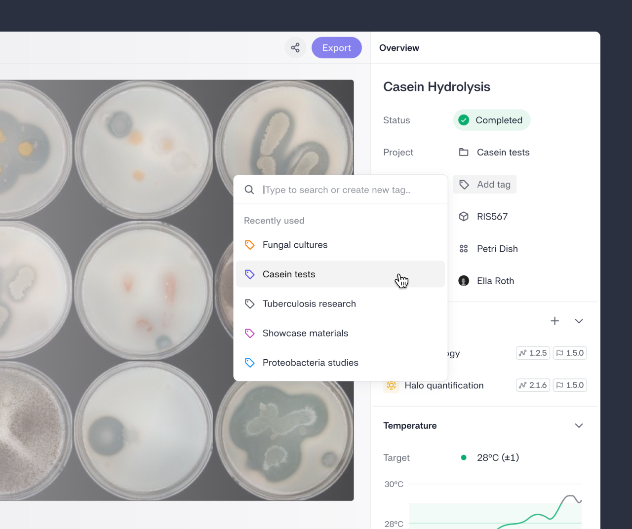 Tags for flexible job organization