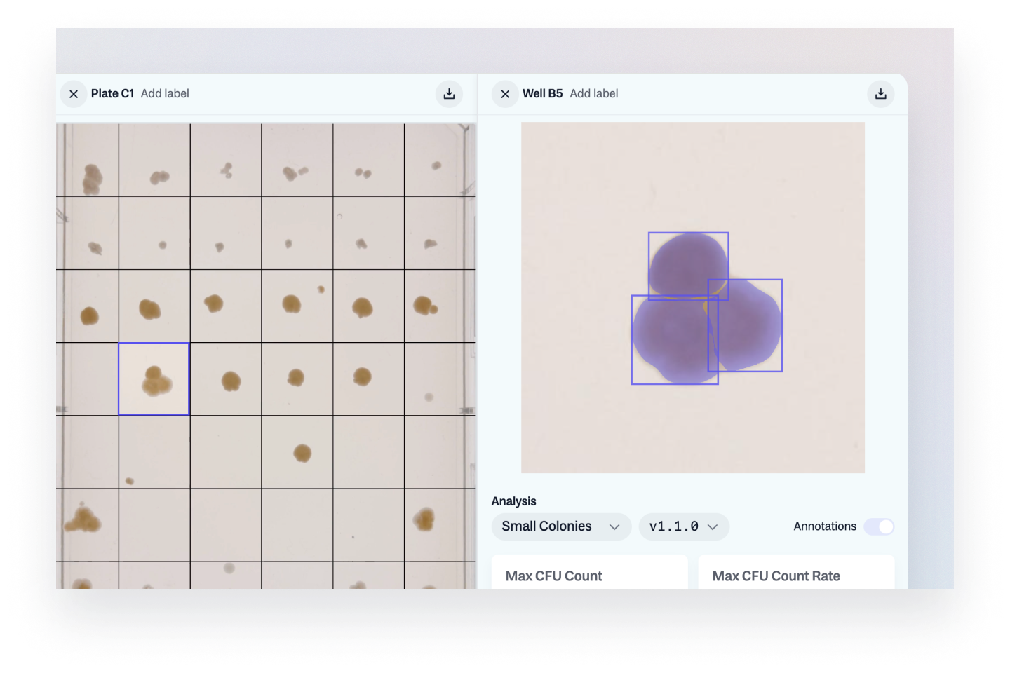 Spot Assay support is here!