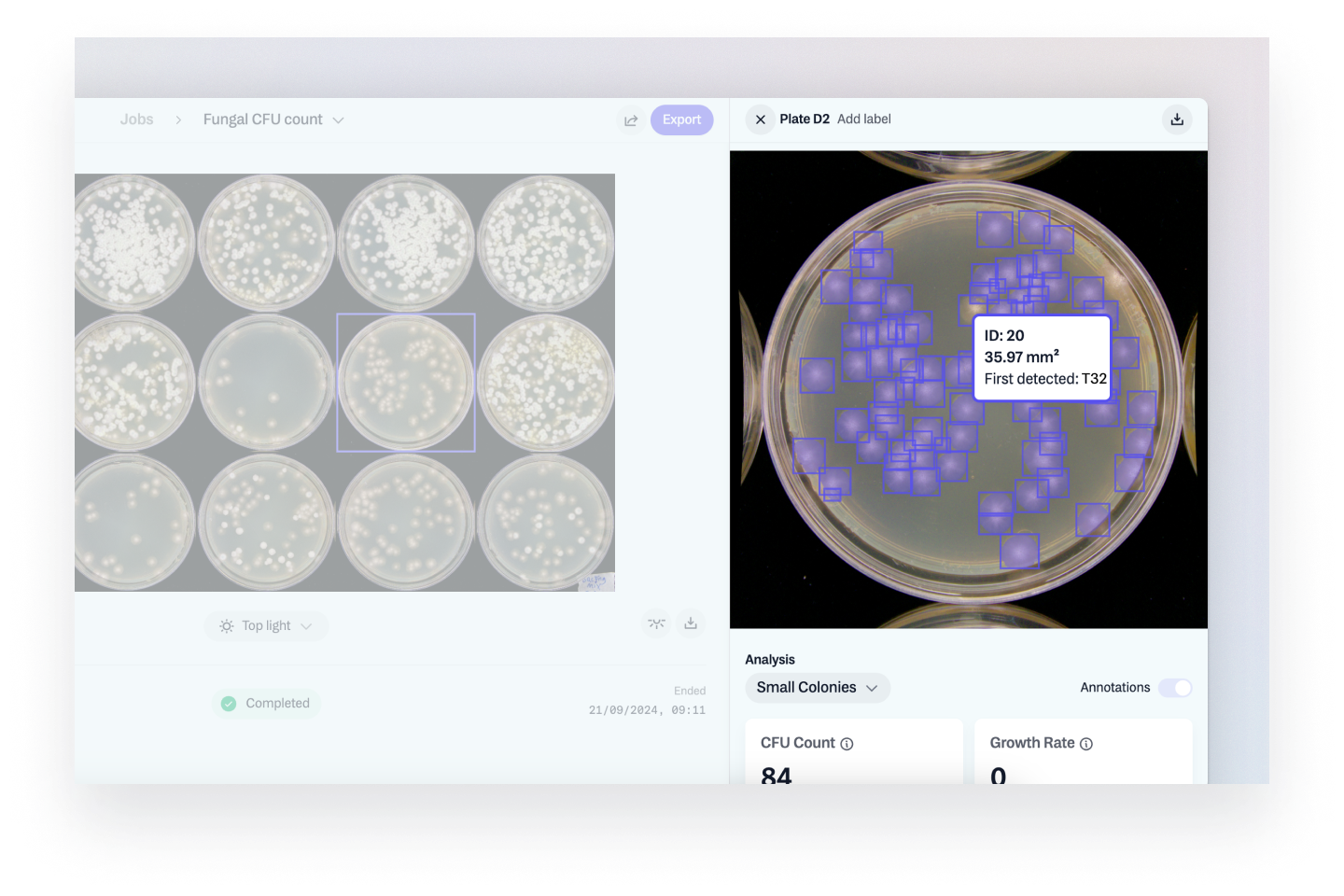 Export Object-Level Insights 🔍