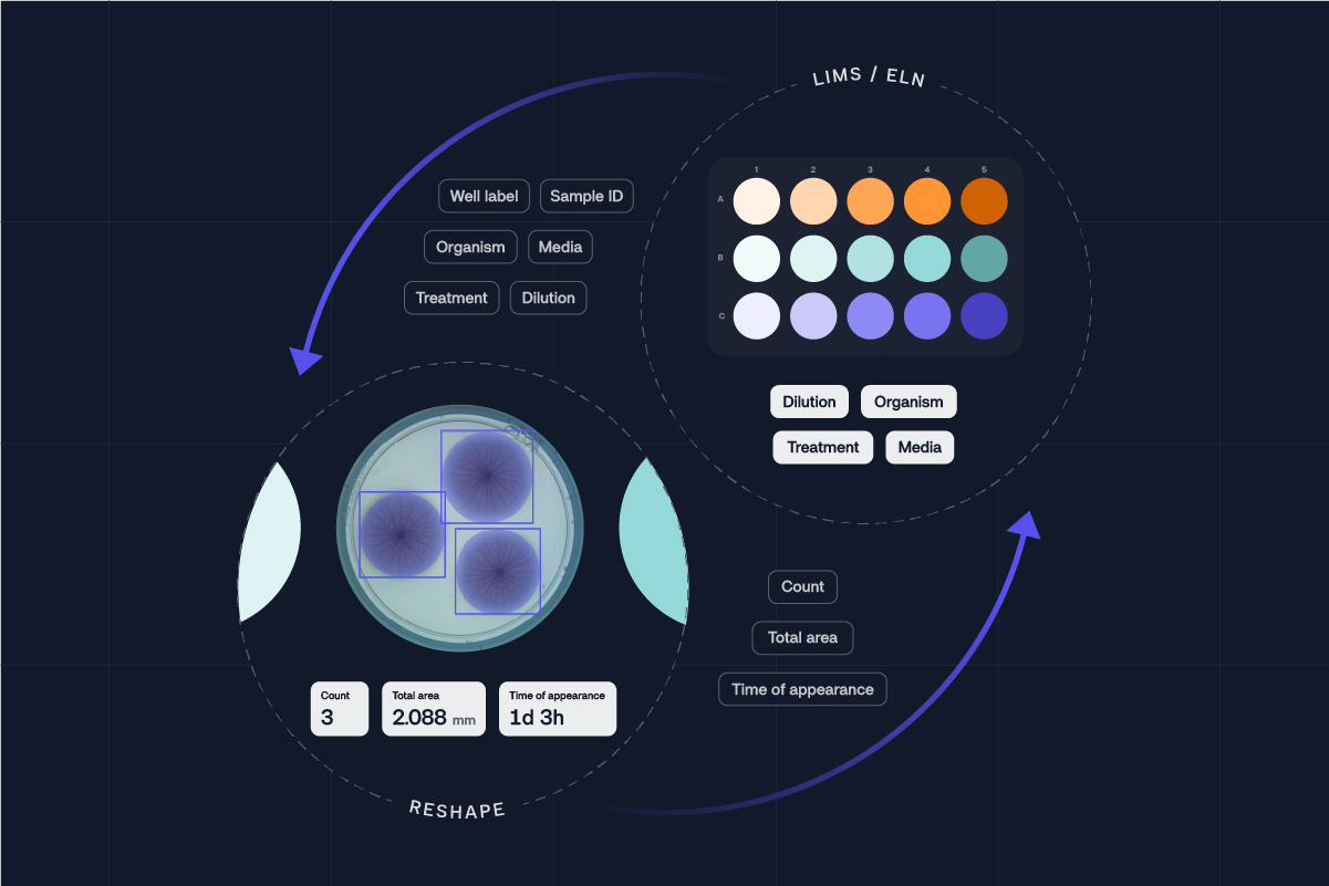 The Reshape API is here!