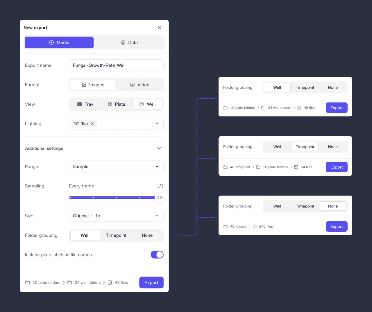 Expanded Media Export + API