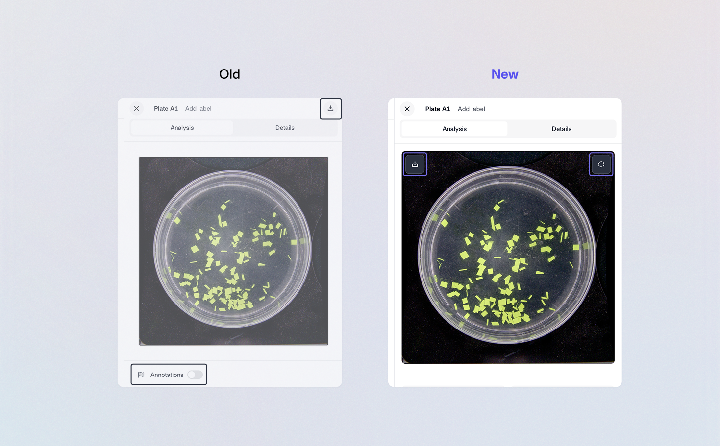 New Annotation and Download Buttons