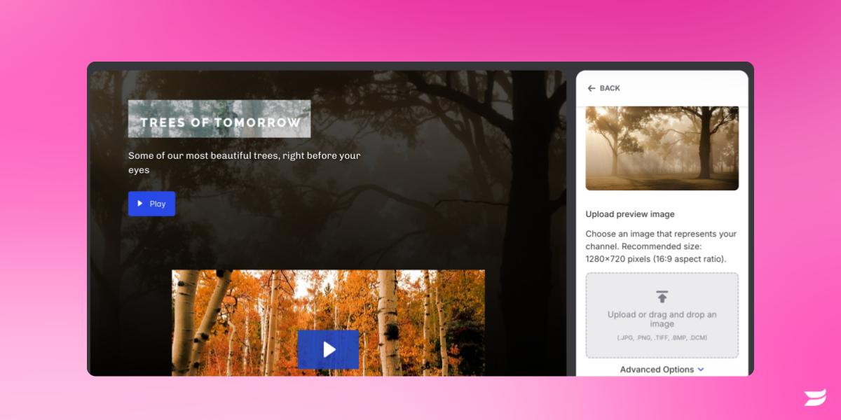📺 Drive more viewers to your site with Channel Preview Image