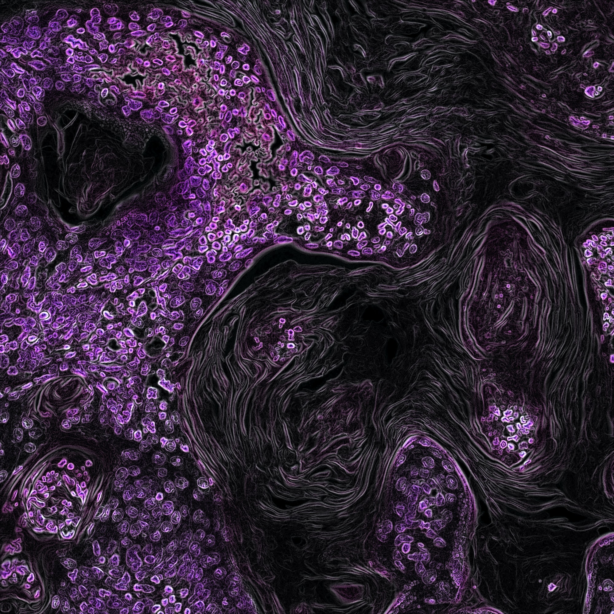 The value of UX: Between Art & Science?